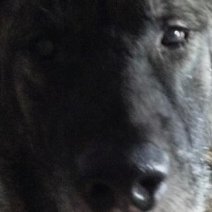 Meet your Posher, Keeton